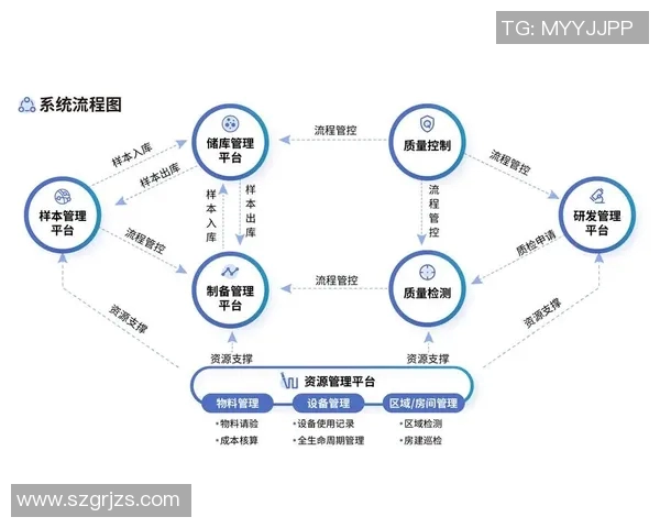 广州排球队区域防守革新之路:战术变革与团队协作的深度解析 广州排球队区域防守革新之路:战术变革与团队协作的深度解析