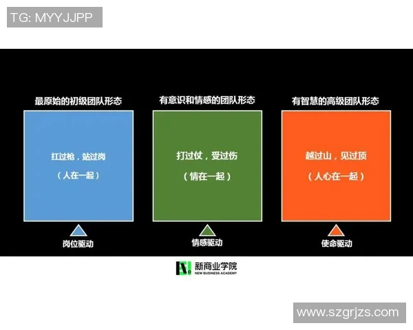 武汉篮球队杯赛表现分析：团队配合与战术执行的深度解读