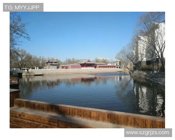 温泉与甲府风林的对决：感受自然与文化的完美融合之旅