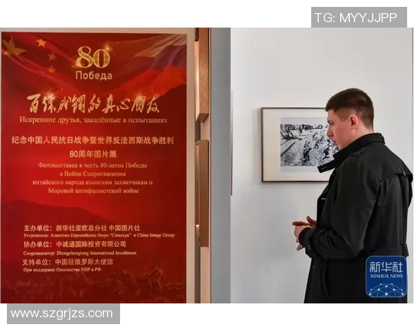 苏维与陆军的较量：历史的回响与未来的展望