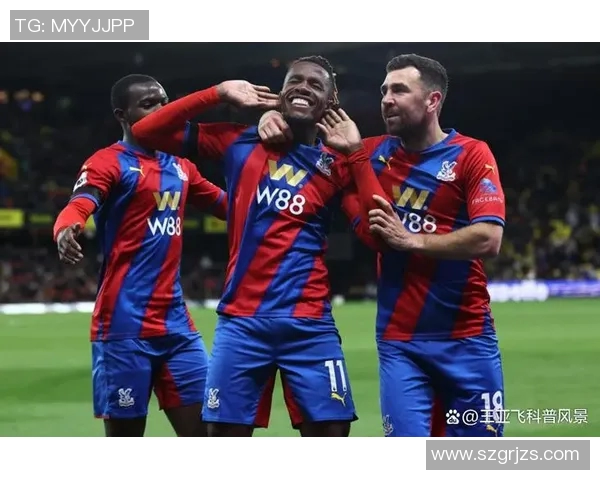 英足总杯水晶宫对决强敌期待精彩赛事与球迷狂欢