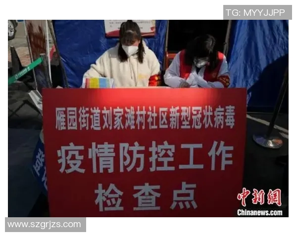 雷蒙的探索之旅：在科技与人文交汇处的思考与实践