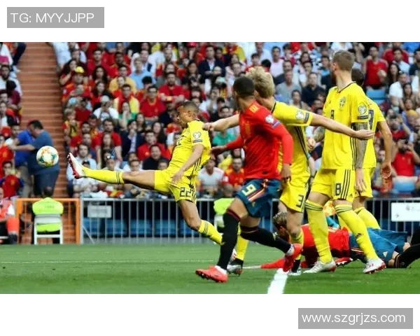 荷兰对瑞典足球比赛现场直播全程回顾与精彩瞬间分析