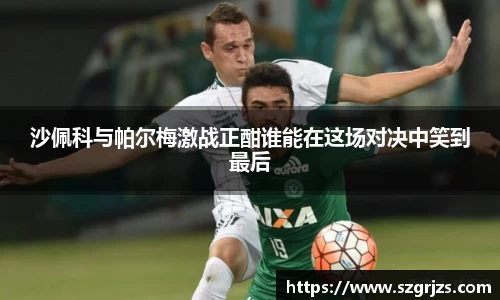 沙佩科与帕尔梅激战正酣谁能在这场对决中笑到最后